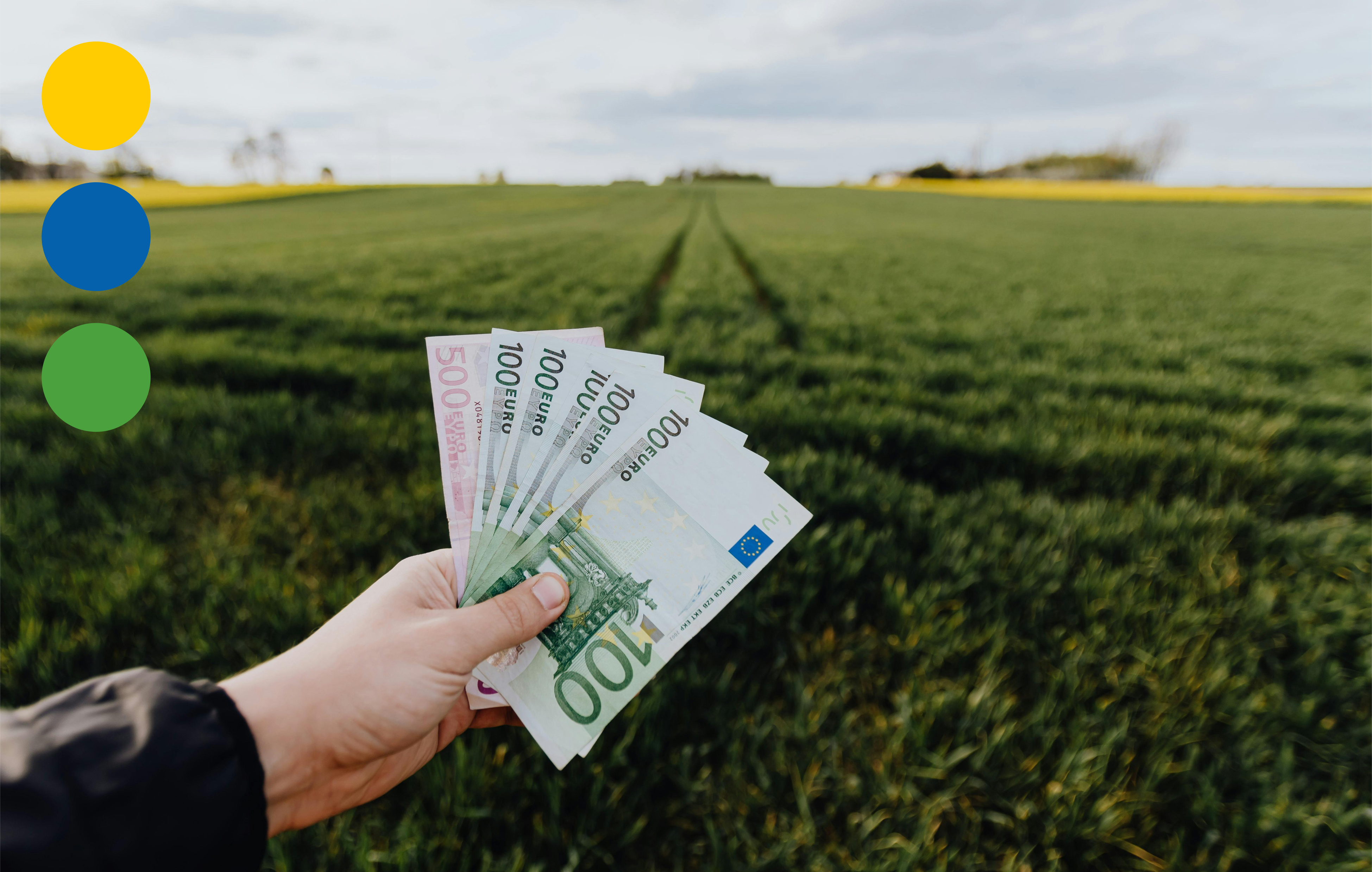Informacje dla wnioskodawcy zakresu ROZWÓJ DG